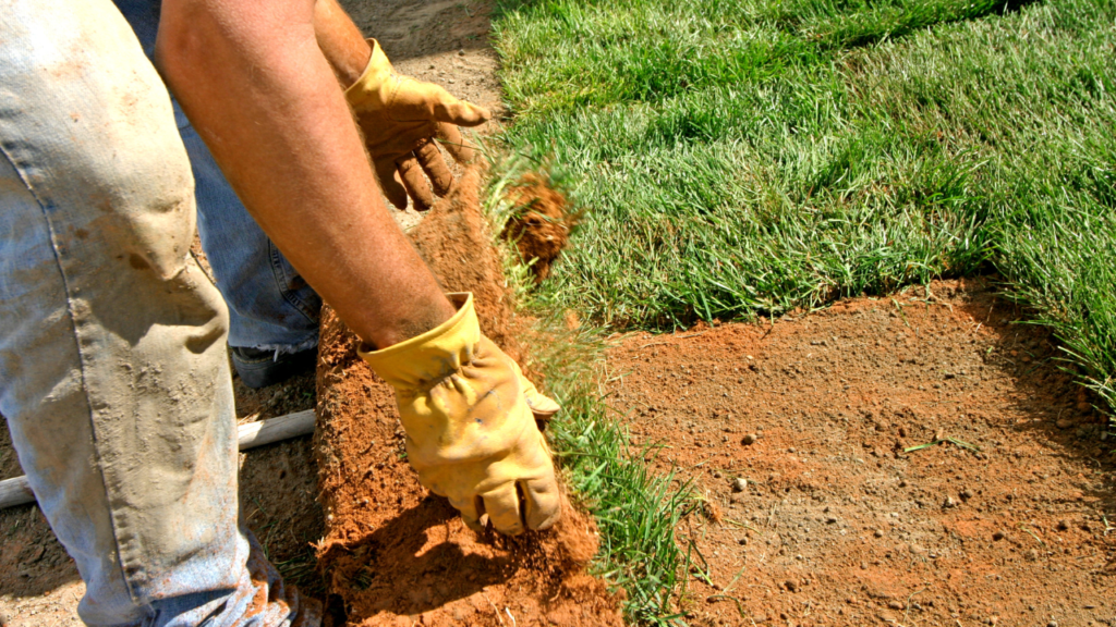 Problem LANDSCAPING