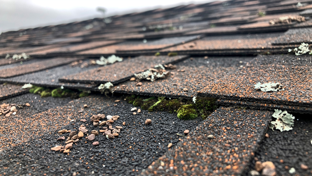 Close-up of weathered asphalt roof shingles with granule loss on a NJ home